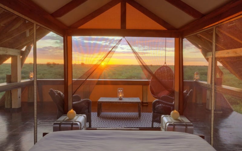 Stay Longer For Less at Feline Fields Lodge Kalahari Desert